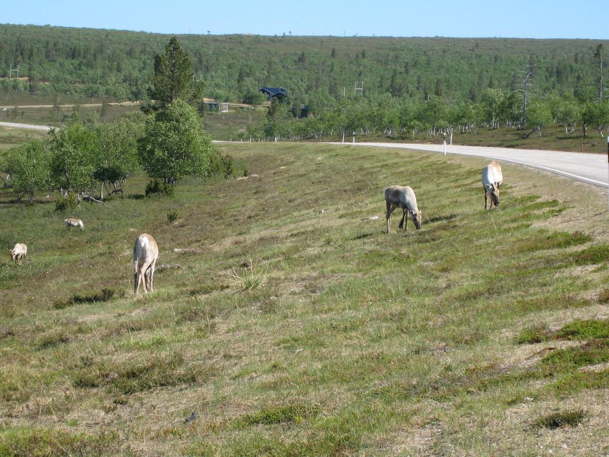 Saariselaen Marjamajat Apartment Sopuli Saariselka Esterno foto